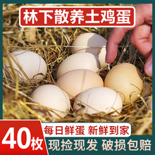 农家散养土鸡蛋40枚新鲜鸡蛋初生蛋杂粮喂养柴鸡蛋虫草蛋笨鸡蛋10