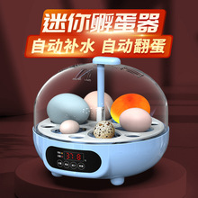 威振孵蛋器迷你孵化器小型家用孵化机全自动智能芦丁鸡鹌鹑孵化箱