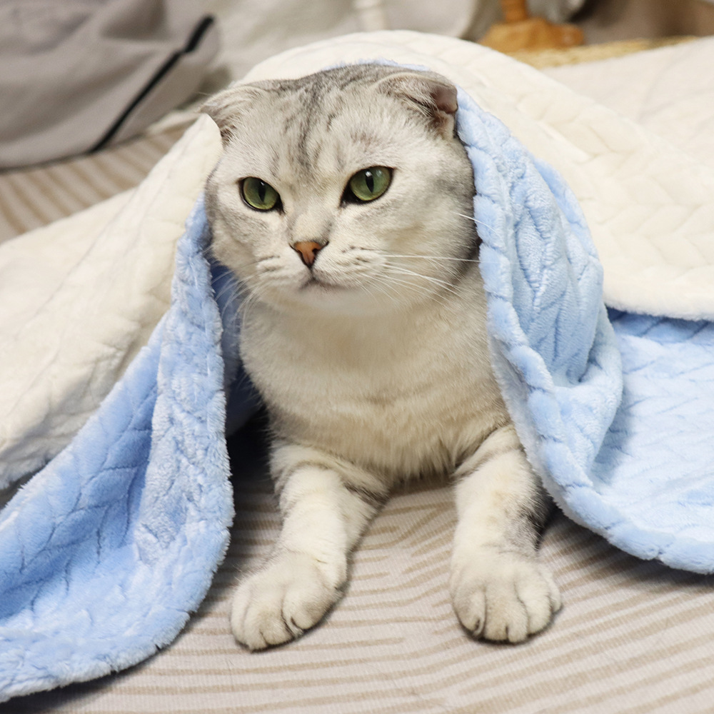 麦穗绒小毛毯宠物毯猫咪盖毯窝垫子狗狗保暖盖毯珊瑚绒毯加厚毯子