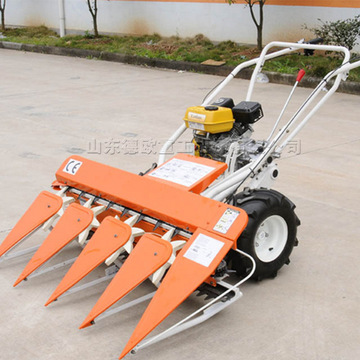 玉米秸秆割晒机 汽油移动式水稻谷子收割机 手扶自走式割晒机