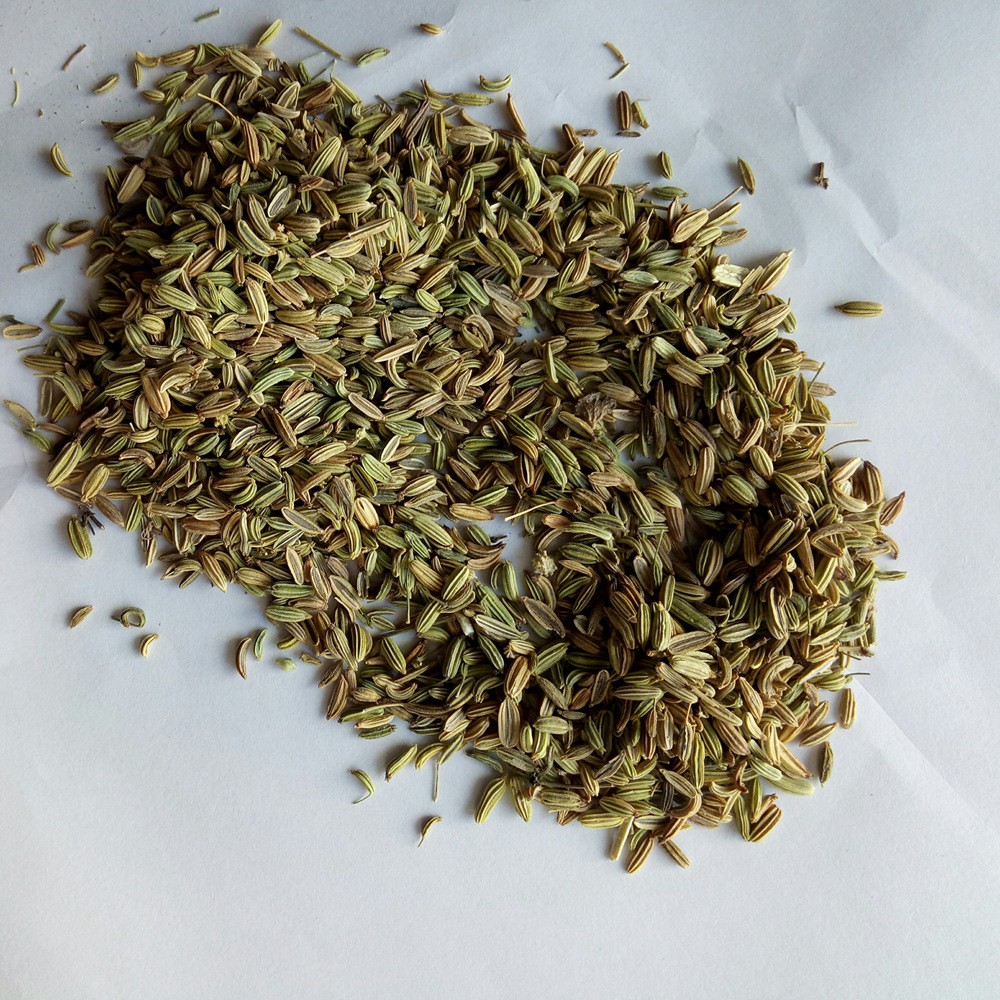 500克批发干燥小茴香子青色茴香籽干货颗粒熏香用小香籽实可打粉