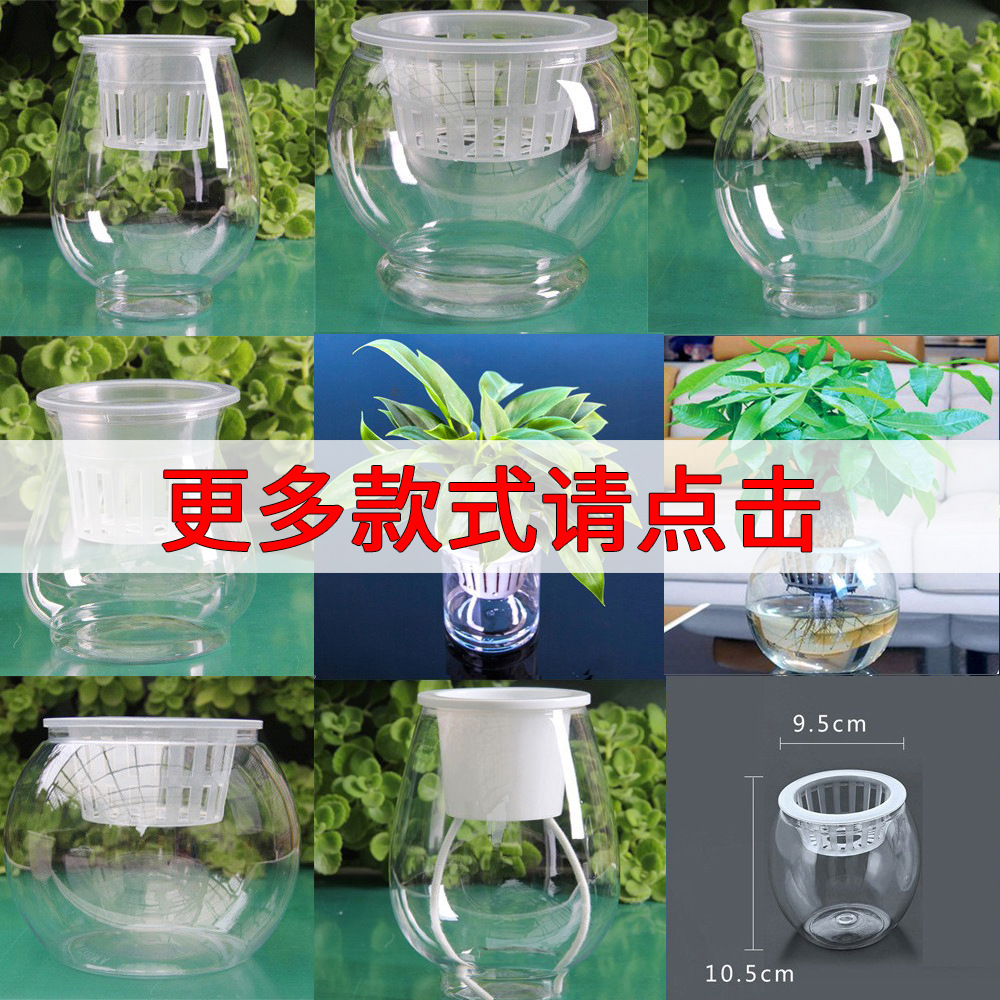 Y透明水培塑料花瓶绿萝水生植物生长容器室内桌面摆放花盆多规格