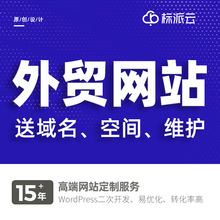 武汉外贸网站搭建跨境电商独立站平台软件开发亚马逊品牌设计域名