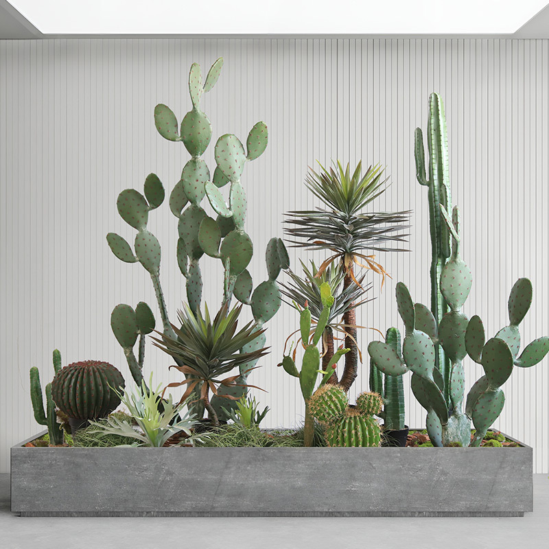 沙漠造景大型仙人掌仿真绿植假植物仙人掌仙人镜室内落地橱窗装饰
