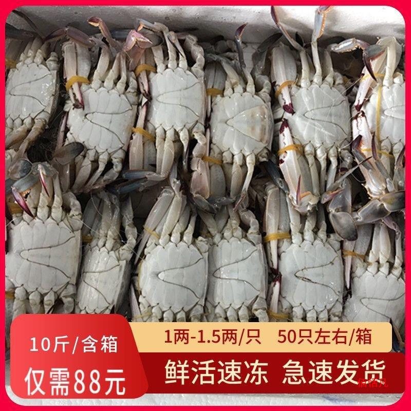 梭子蟹活冻蟹梭子蟹鲜活速冻海蟹青蟹10斤/箱50只左右包邮-阿里巴巴