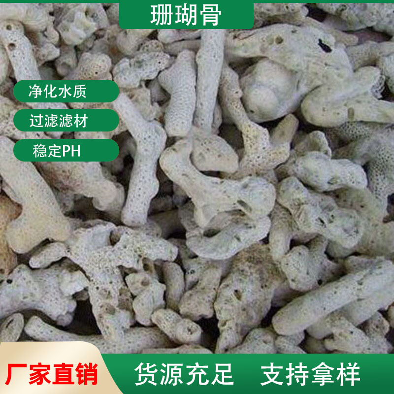 定制珊瑚砂珊瑚骨 净化水质鱼缸造景过滤 水产养殖用珊瑚骨珊瑚砂