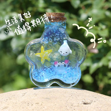 玻璃瓶许愿diy套装彩虹瓶海洋材料水宝宝漂流瓶星空瓶泡大珠