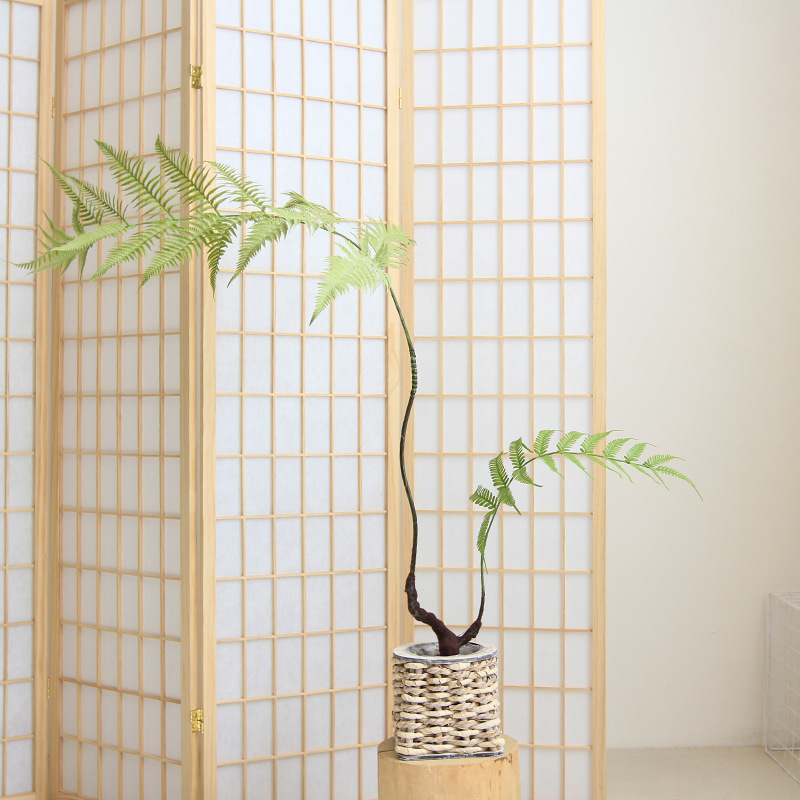 猴头蕨植物盆栽金丝猴假树树室内禅意绿植金毛狗摆件北欧装饰