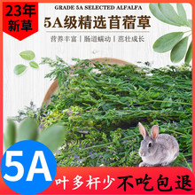 新5A烘干苜蓿草紫花干草兔子粮草幼兔龙猫荷兰猪豚鼠饲料兔粮牧草