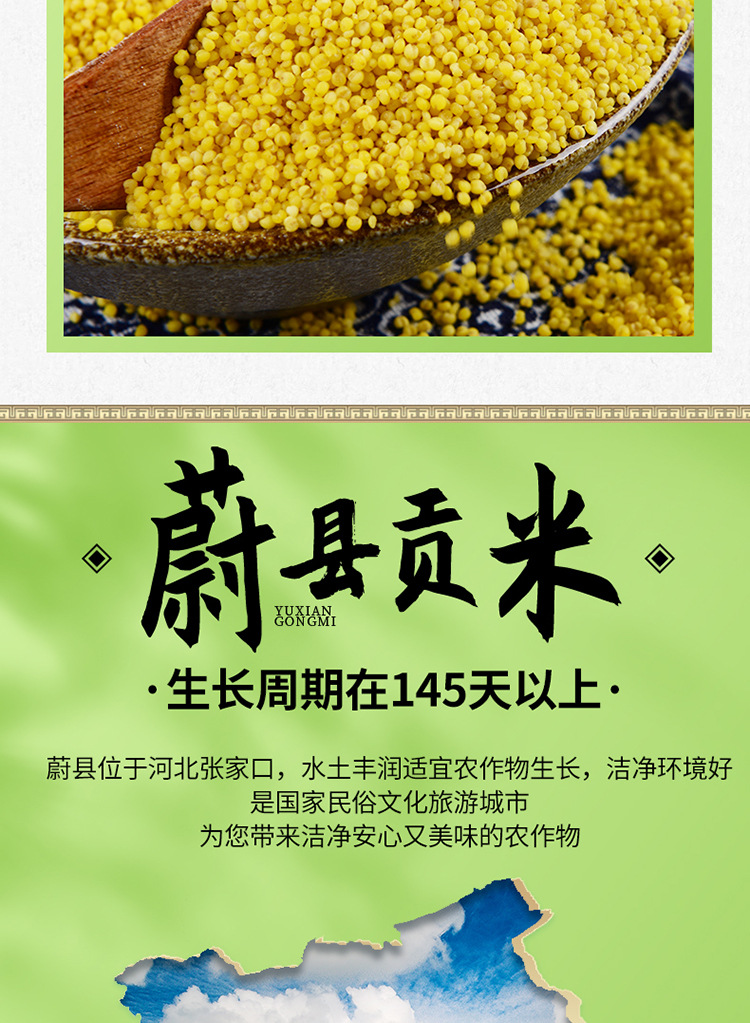 黄小米熬粥食用五谷杂粮新蔚县小米蔚州贡米礼盒500gx4