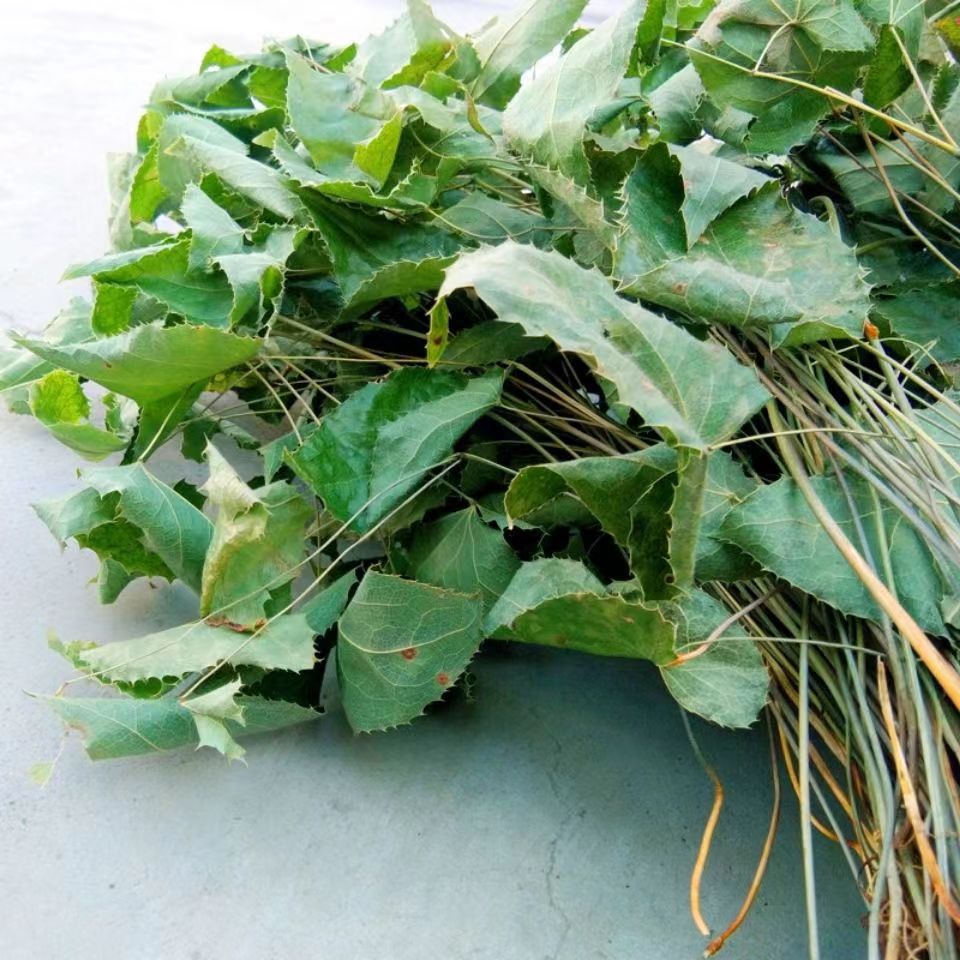 淫羊藿500g成年男性整棵泡茶泡酒料男肾搭配枸杞锁阳-阿里巴巴