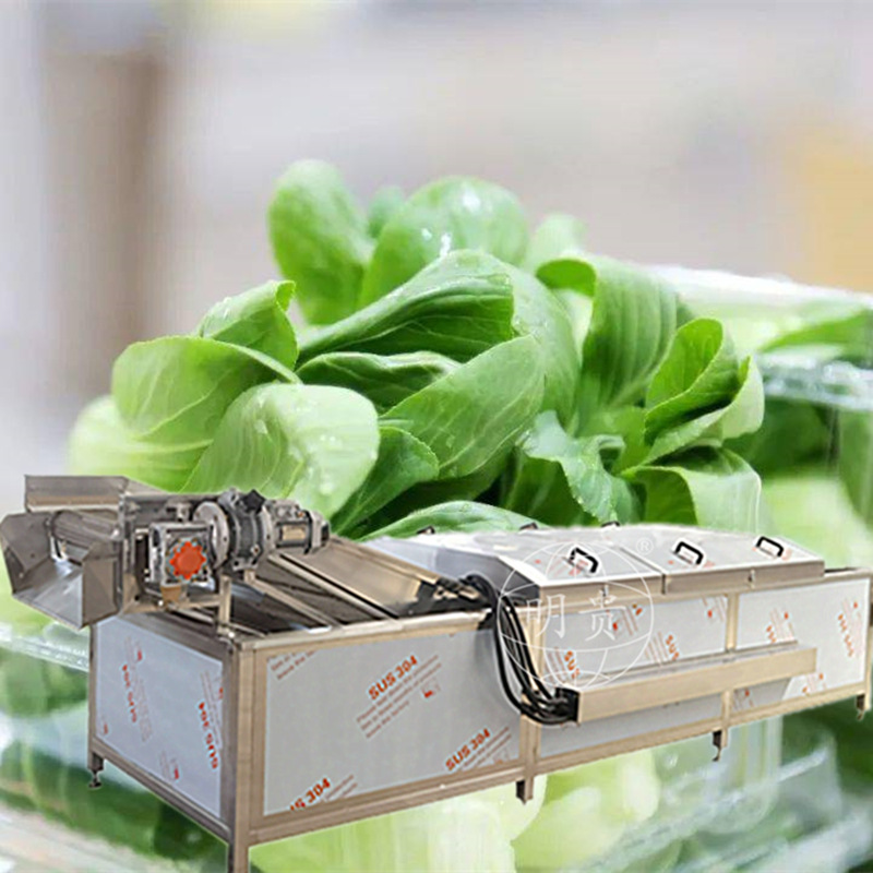 桑芽菜漂烫杀青流水线 胡萝卜片热烫预煮设备 果蔬自动蒸煮机器