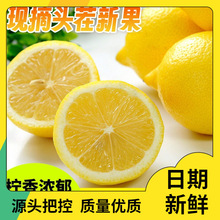 四川真安岳黄柠檬当季新鲜水果薄皮香水鲜甜柠檬生鲜亮袋皮薄
