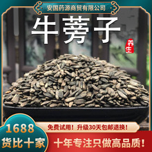 牛蒡子中药材牛旁子籽牛蒡子茶牛榜子大力子新鲜饮非野生片可打粉