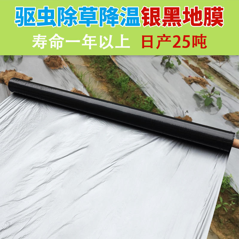 银黑地膜抗老化 银灰反光膜新料驱虫降地温 塑料薄膜除草农用地膜