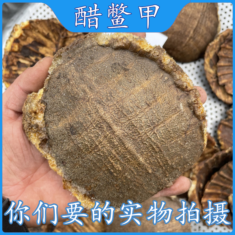 亳州中药材批 发醋鳖甲壳1000克醋血鳖甲炒鳖甲制鳖甲炙鳖甲醋
