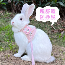 兔绳胸背带 外出溜兔子牵引绳子 防挣脱透气舒适垂耳兔 兔子用品