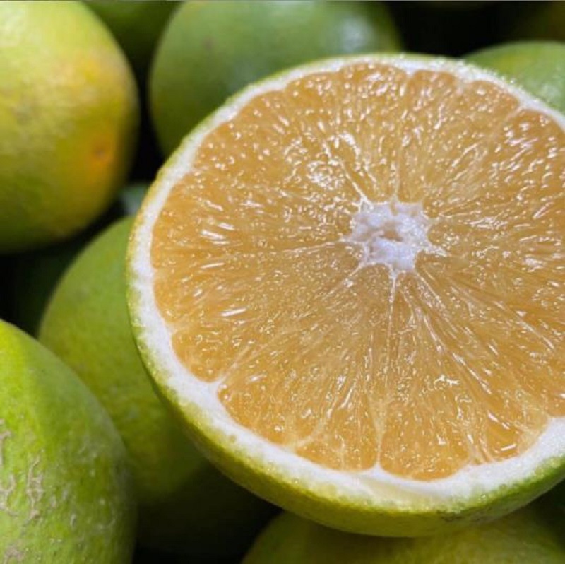 云南青橙冰糖橙五斤八斤包邮新鲜水果褚青橙冰糖橙哀牢山甜橙