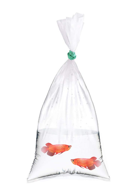 pe塑料袋 金鱼活鱼袋 封底牢固不漏水 普通pe塑料袋-阿里巴巴