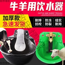 羊牛饮水器自动喂水饮水碗牛羊喝水养殖设备铸铁铜阀碗式专用