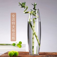 特大号富贵竹斜口平口花瓶