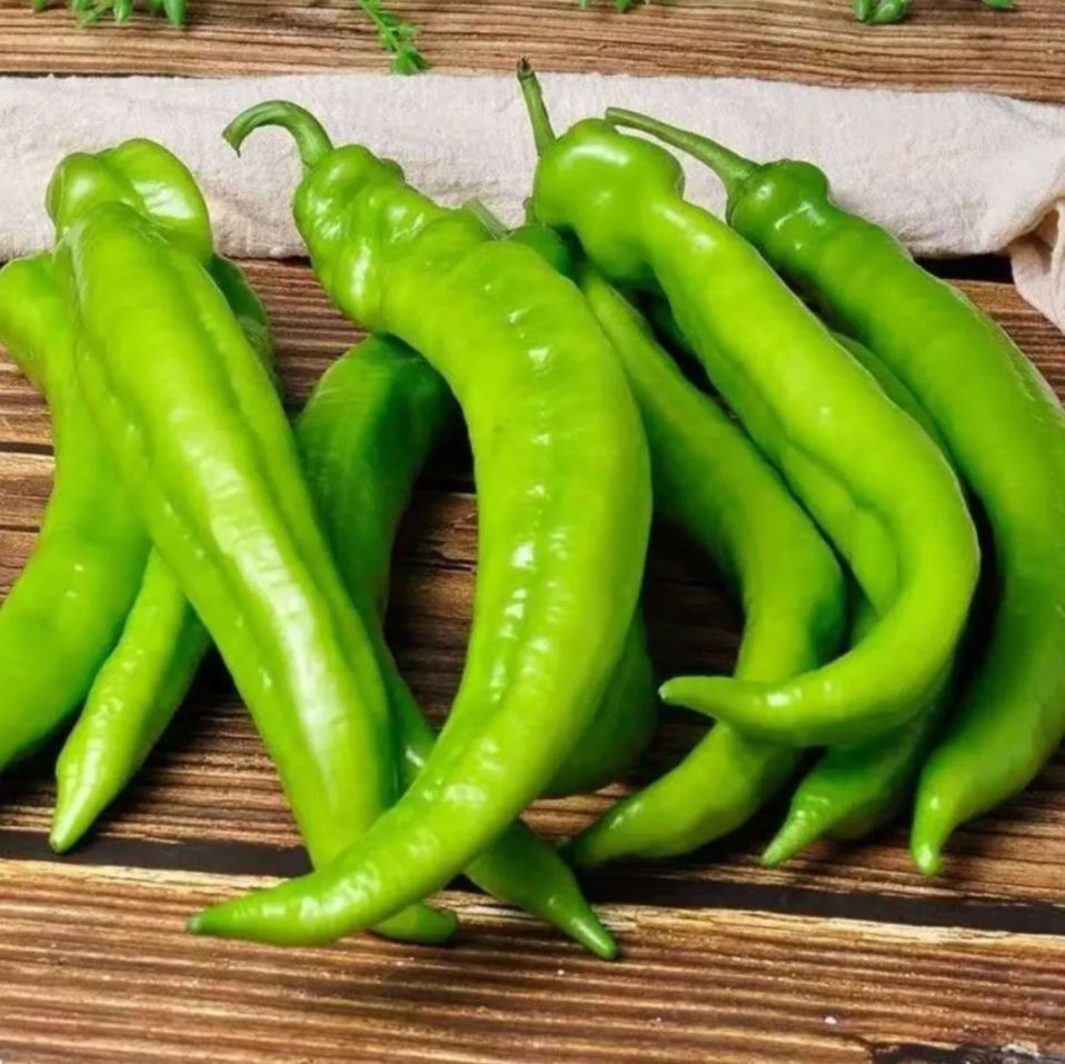现摘先发新鲜青辣椒 虎皮尖椒原辣椒农家青辣椒皮薄新鲜5斤装包邮