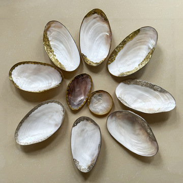 贝壳水果碟珍珠蚌壳拍照装饰首饰摆盘镶嵌包边水果盘贝壳工艺品