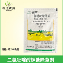 75%二氯吡啶酸 油菜玉米小麦苗后防除刺儿菜蒿草等阔叶杂草6克/袋