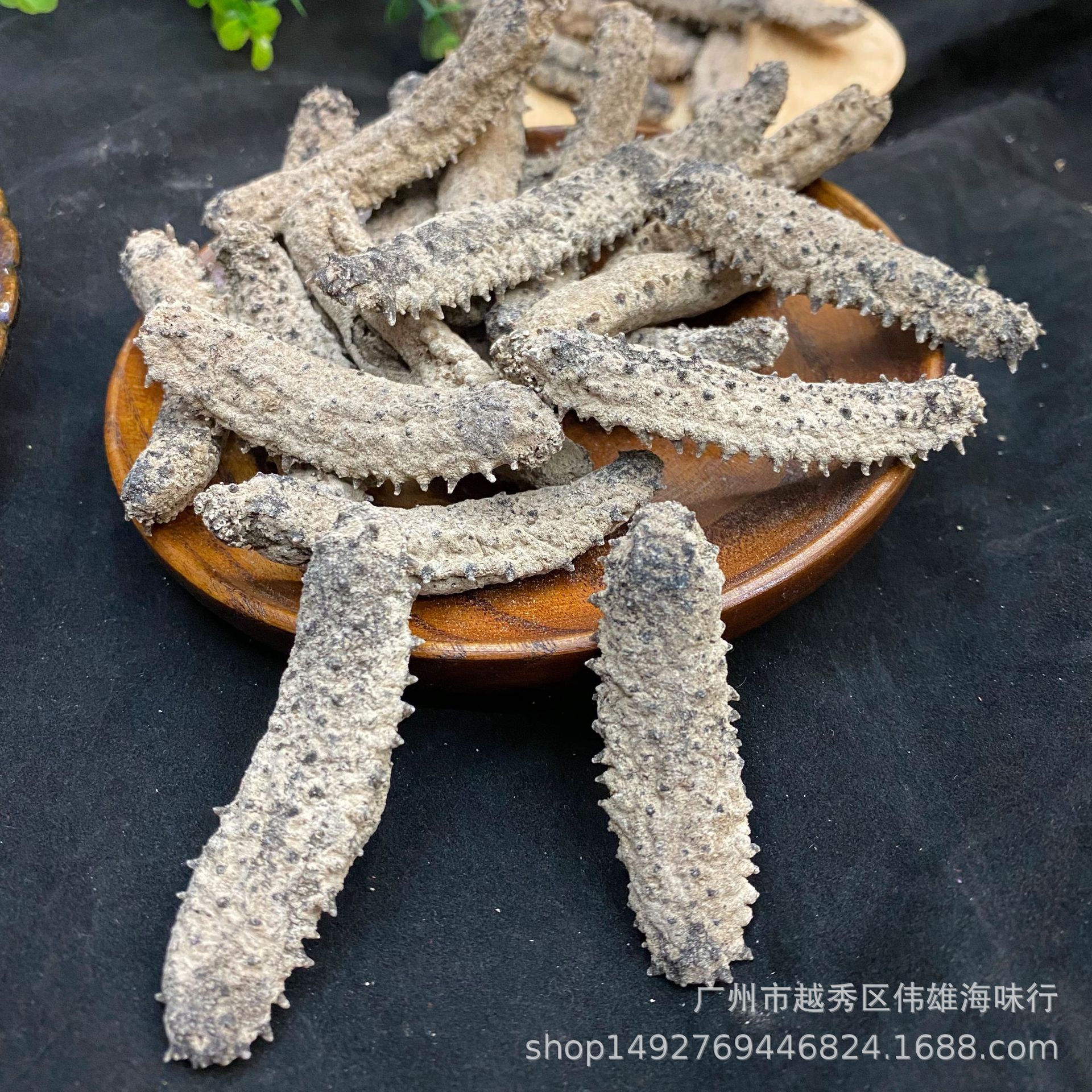 直销淡干冲子参海参干货20-60头精选货可与关东关西参肉质媲美