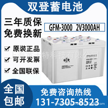 双登蓄电池GFM-3000双登2V3000AH直流屏通信基站船舶电厂后备电源