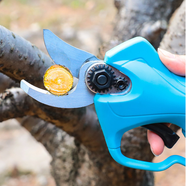 电动修枝剪冲电锂电剪刀无线果树剪刀园艺桑树剪刀粗枝高枝剪