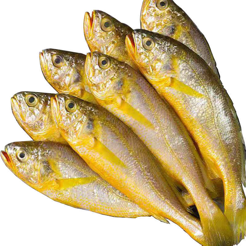 5斤顺丰包邮海捕小黄花鱼黄花鱼新鲜海捕冷冻大小黄鱼深海海鲜