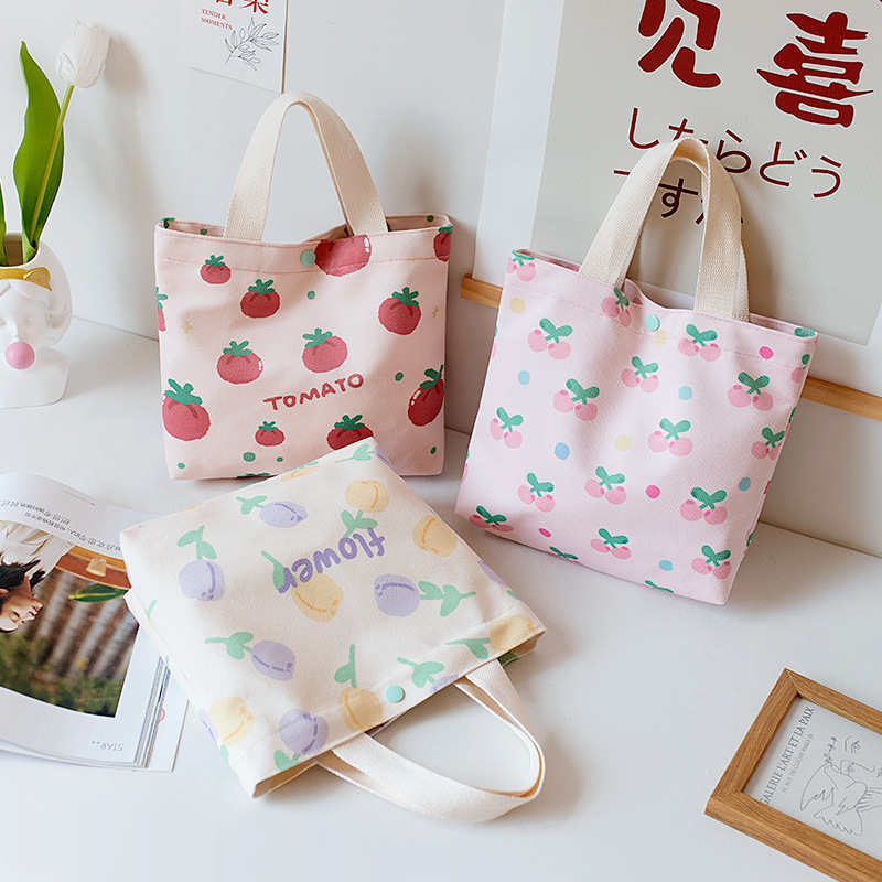 2022 New Fairy Handbag Student Lunch Box Bag Work out Hand Carrying Canvas Small Cloth Bag Handbag