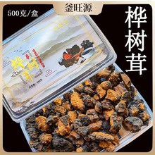 厂家批发桦树茸颗粒500克精选盒装黑皮切块一件代发食用桦褐孔菌