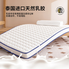 乳胶床垫软垫家用宿舍学生单人榻榻米海绵垫褥子租房地铺睡垫