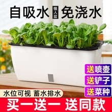 思益种菜花盆栽蔬菜种植箱家庭阳台塑料自吸水懒人长方形