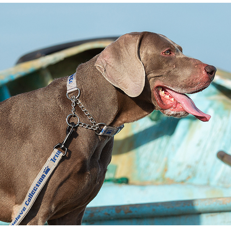 truelove宠物狗防爆冲不锈钢p链项圈 牵引调节反光外贸跨境亚马逊