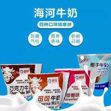 天津海河牛奶椰果   可可 五种口味随意选择液体乳食品酒水液体乳