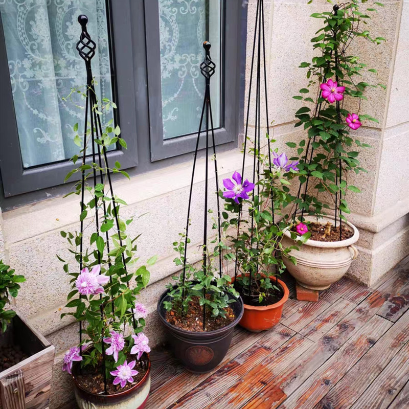 园艺爬藤架铁线莲藤本月季盆栽铁架支柱蔬果爬藤支架四脚铁艺花塔