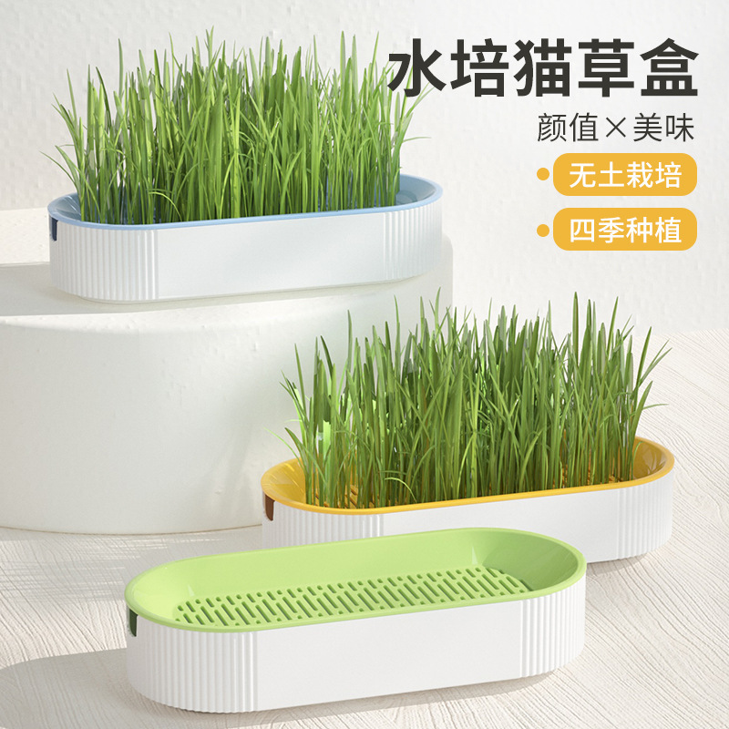 cross-border pet supplies cat snacks catnip planting hydroponic box cat grass pot hydroponic cat grass box set wholesale