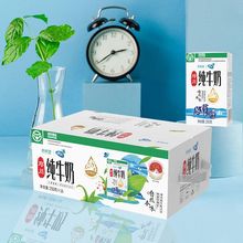 新希望250g*16盒大理高原牧场纯邓川纯牛奶地理标志产品10月产