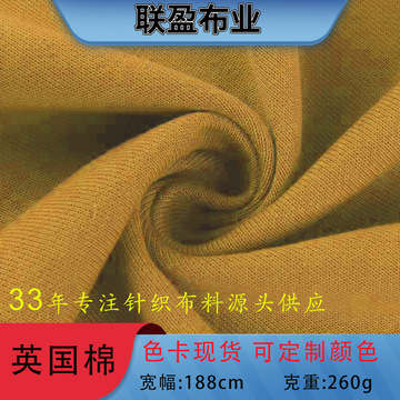 英国棉大卫衣毛圈布加厚帽衫外套校服国潮牌跨境电商休闲布面料