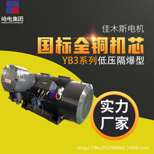 佳木斯电机YB3系列低压隔爆型三相异步电动机（H355～H450）