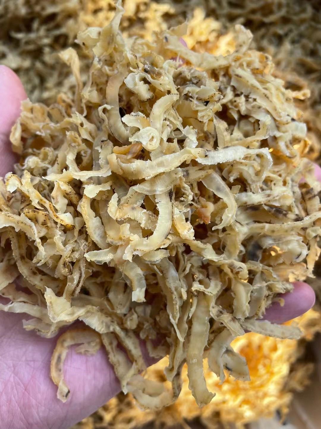 扇贝裙边干贝边 一件40斤干贝扇贝裙边热帖干贝的功效与作用!