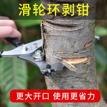 滑轮环剥器苹果枣树环割刀环剥钳剥皮刀果树割树皮工具开甲刀