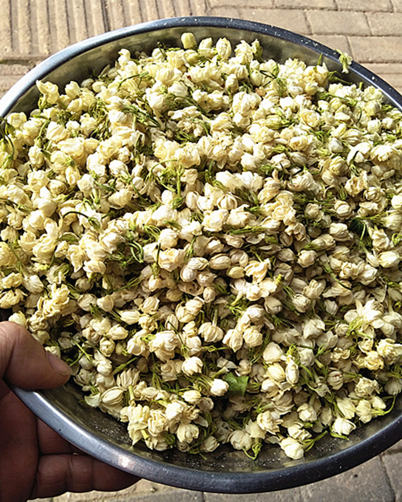 花都之香花干厂供各种等级茉莉花干横州市还有横县其劲花干厂家