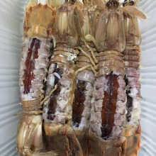 批发 整只皮皮虾全籽带膏母体 爬虾琵琶虾商用自助餐海鲜食材