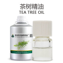 澳洲茶树精油 互叶白千层 蒸馏提取茶树油厂家 1KG起批