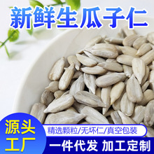 蒙乔食品 新鲜生葵花籽仁瓜子仁散装 农产品坚果炒货网红零食特产