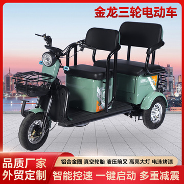外贸批发金龙c6三轮电动车大双排高续航动力强劲家庭成人老人孩子